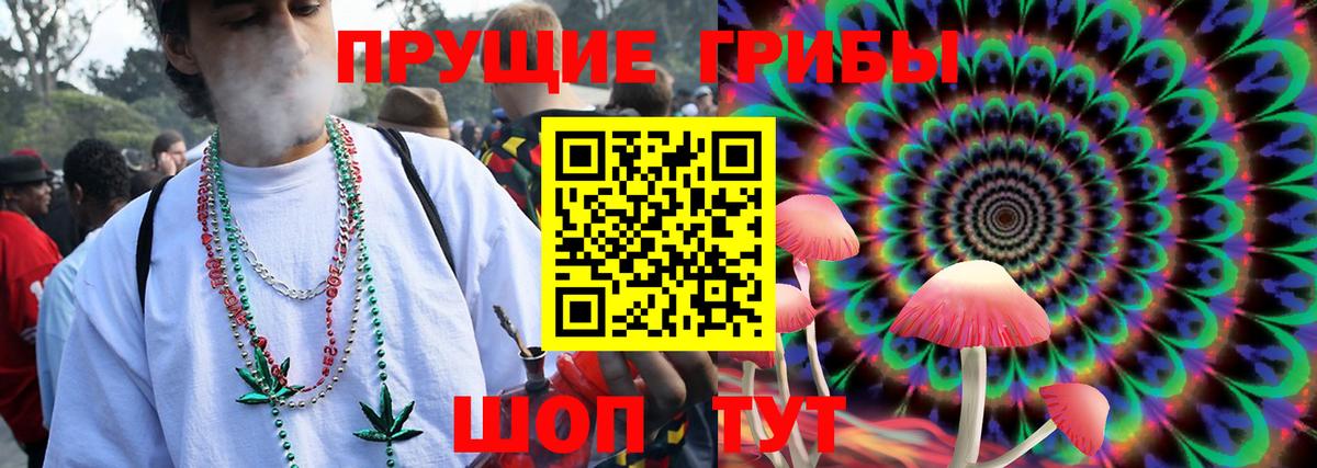 Химки  Галлюциногенные грибы Psilocybine cubensis  Вход с VPN 